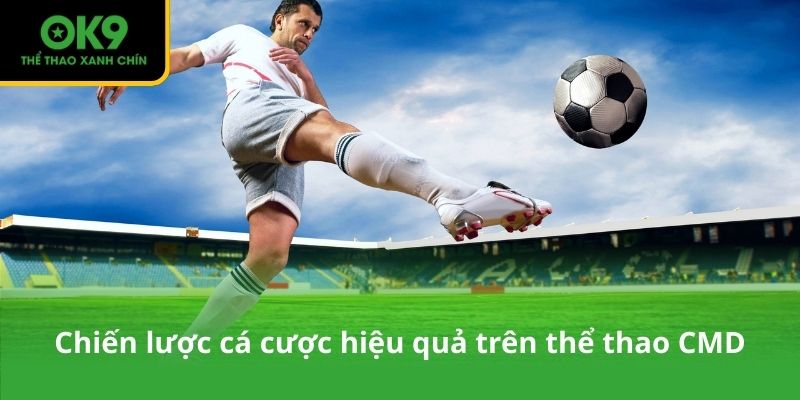 Chiến lược cá cược hiệu quả trên thể thao CMD