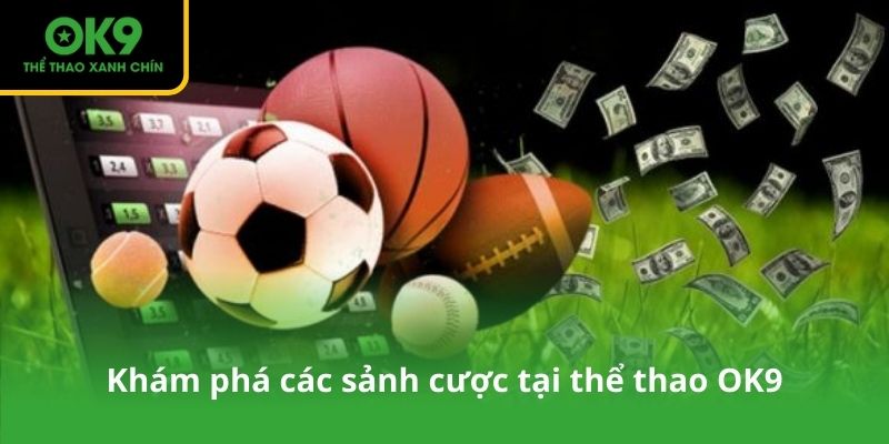 Khám phá các sảnh cược tại thể thao OK9