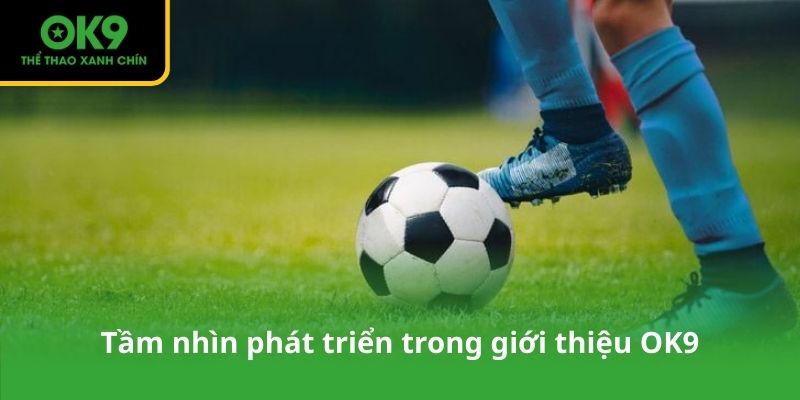 Tầm nhìn phát triển trong giới thiệu OK9