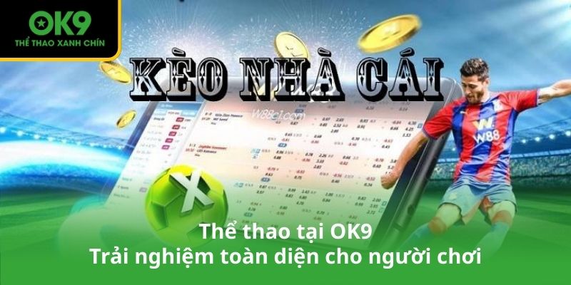 Thể thao tại OK9 – Trải nghiệm toàn diện cho người chơi